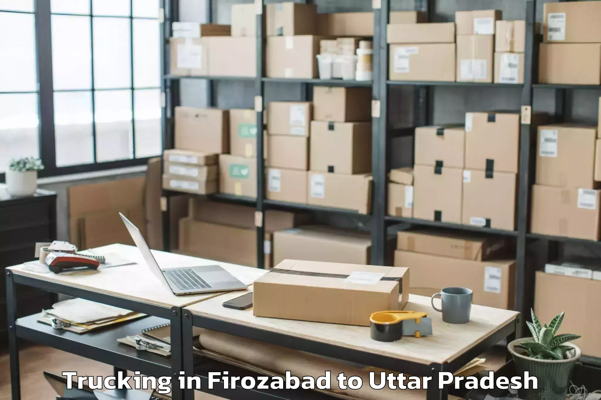 Leading Firozabad to Bidhuna Trucking Provider